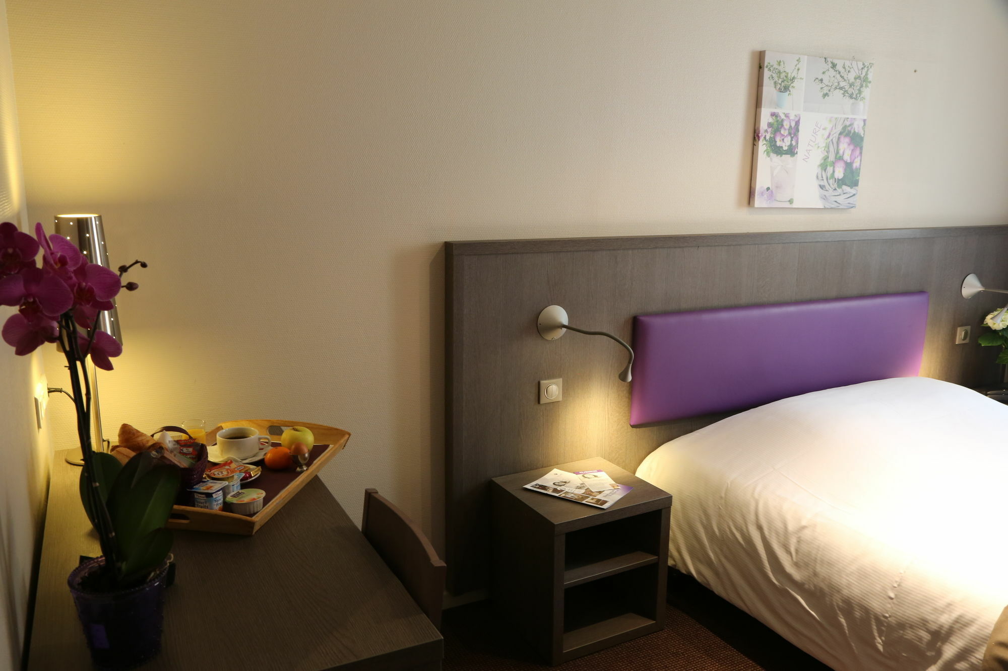 Icone Hotel - Annecy Eksteriør bilde